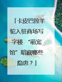 卡皮巴拉羊驼入驻商场写字楼 “萌宠馆”暗藏哪些隐患？
